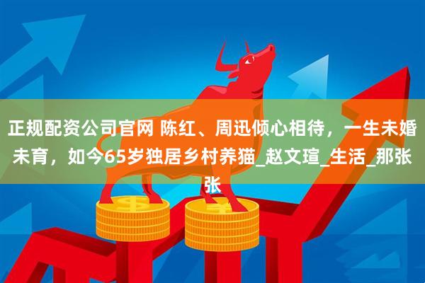 正规配资公司官网 陈红、周迅倾心相待，一生未婚未育，如今65岁独居乡村养猫_赵文瑄_生活_那张