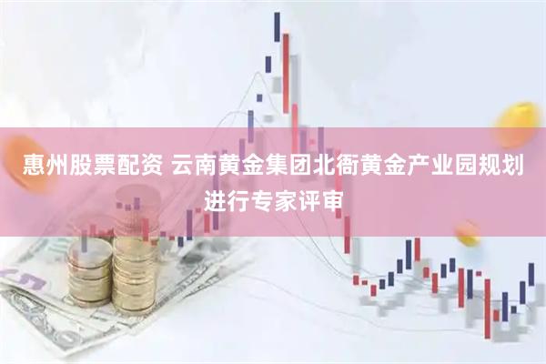 惠州股票配资 云南黄金集团北衙黄金产业园规划进行专家评审